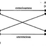 Jung Diagram